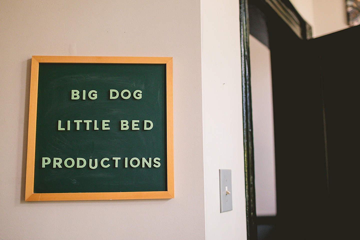 Branding Photographer - Big Dog Little Bed