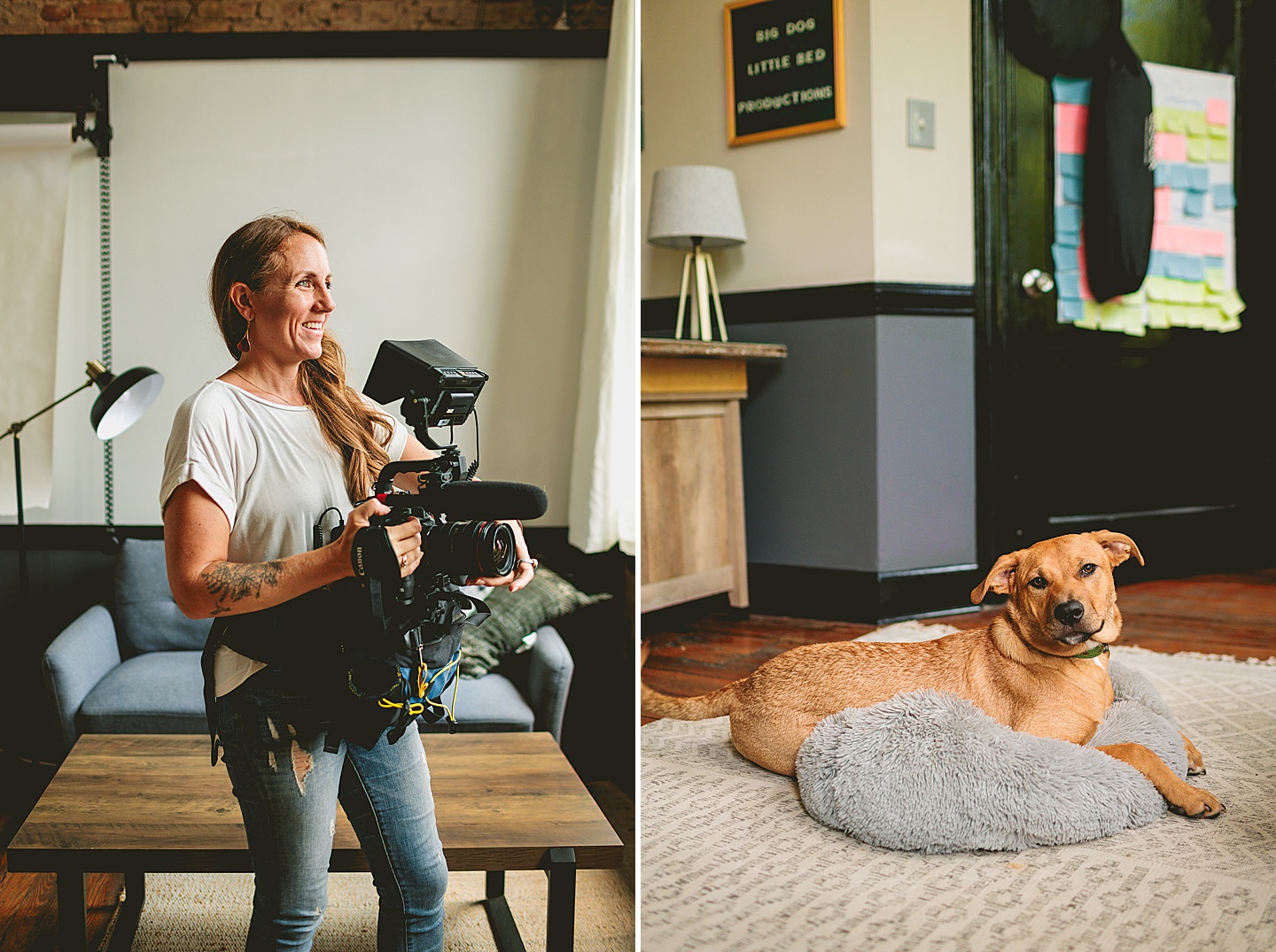 Branding Photographer - Big Dog Little Bed