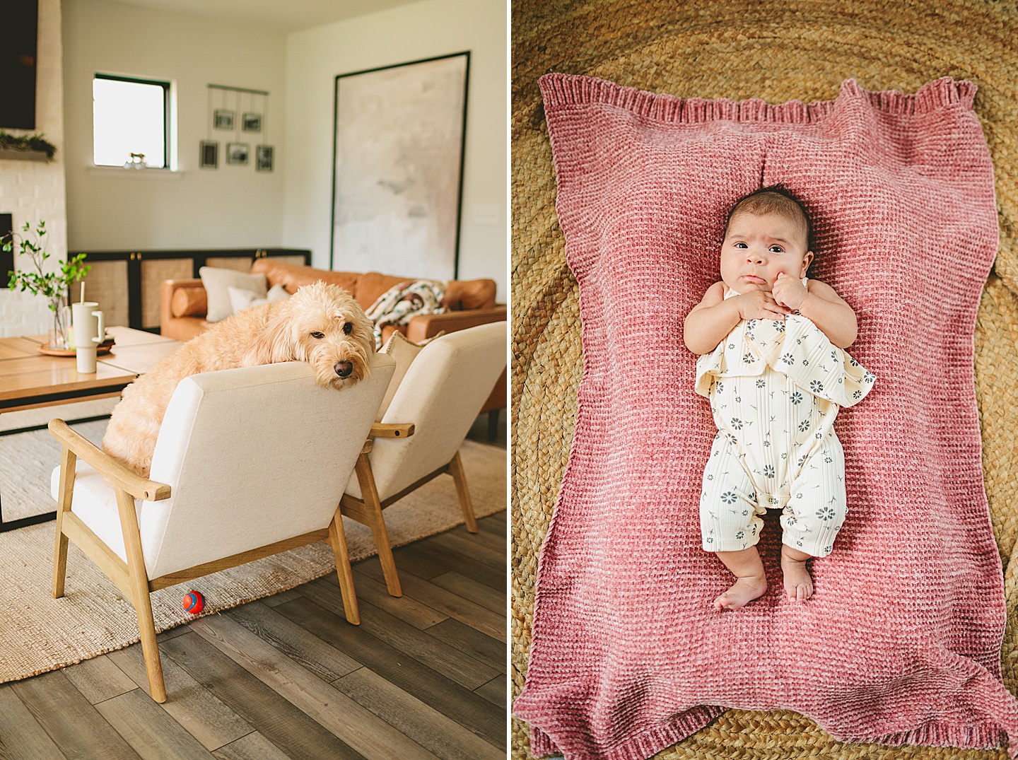 Family Photographer - Sarah + Ryan // NC Newborn Photography