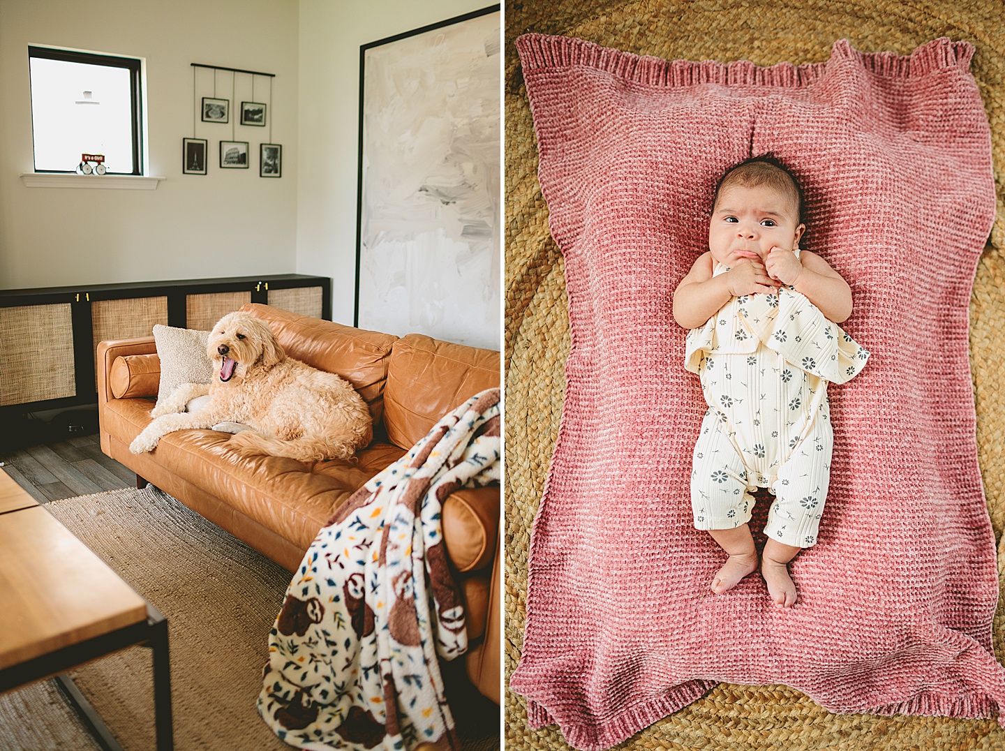 Family Photographer - Sarah + Ryan // NC Newborn Photography