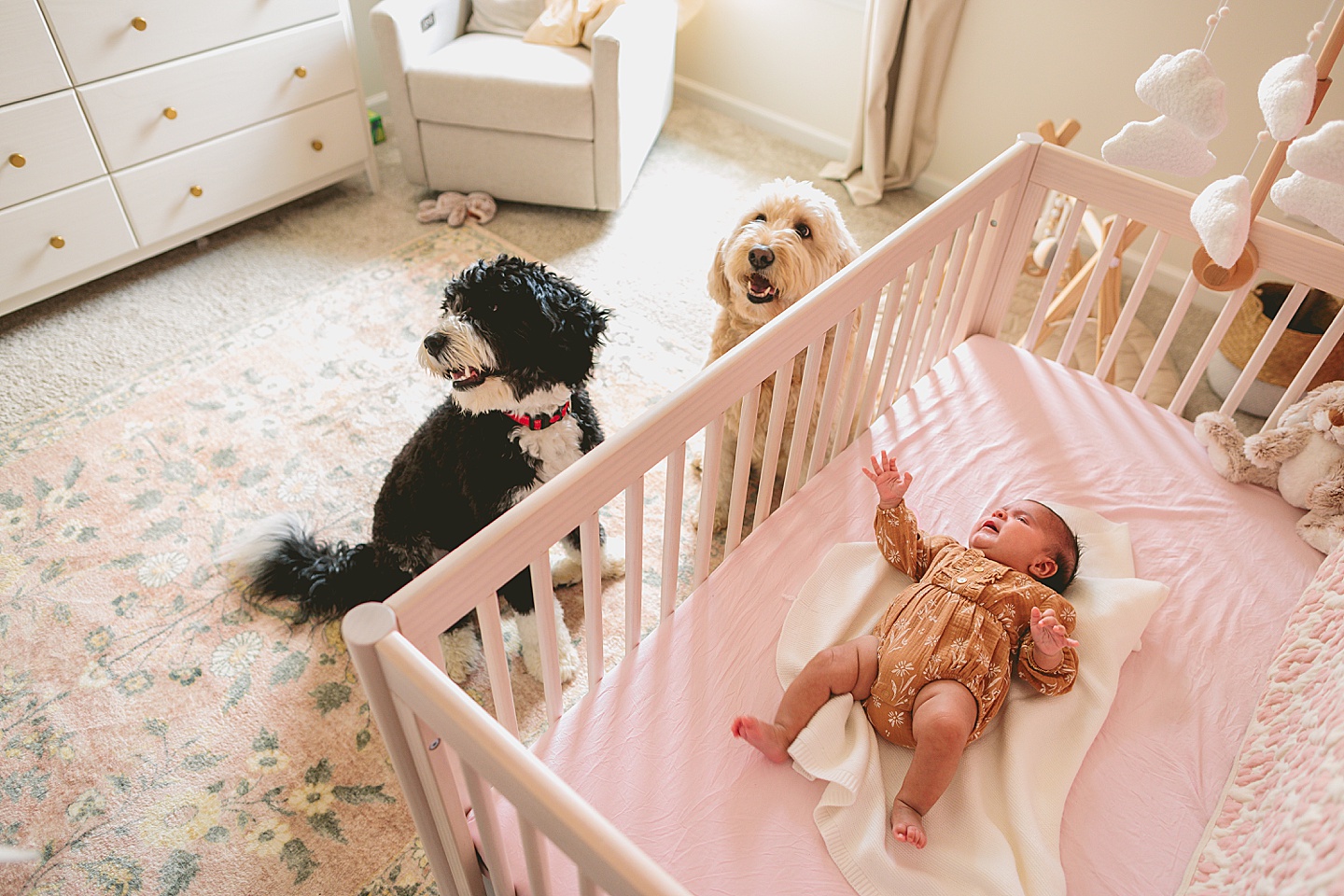 Family Photographer - Sarah + Ryan // NC Newborn Photography