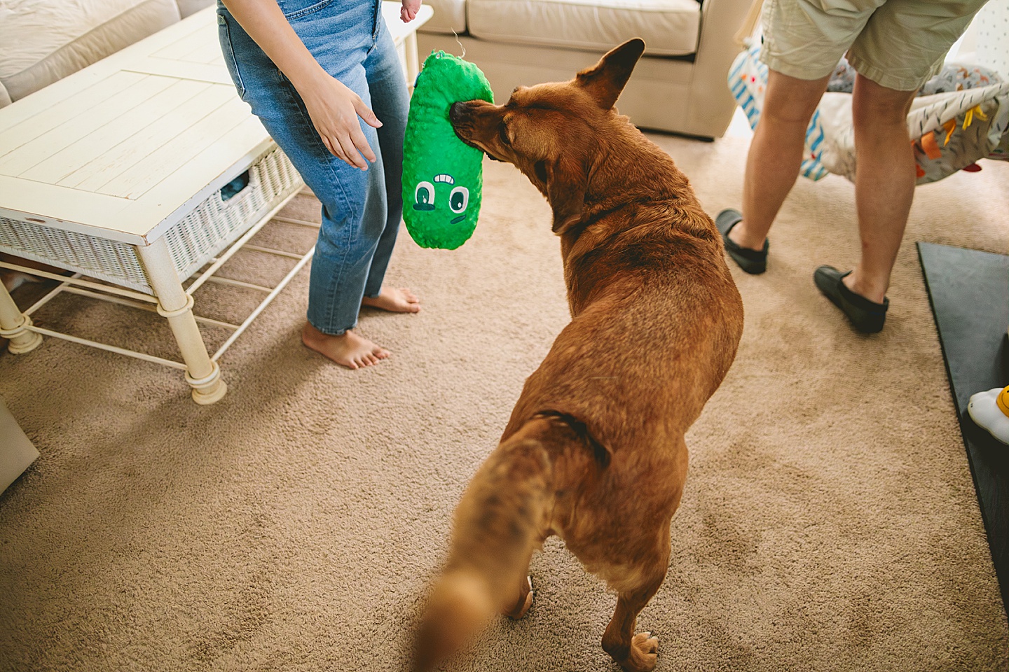 Family Photographer - Kelsie + Neal // Durham Family Photographer