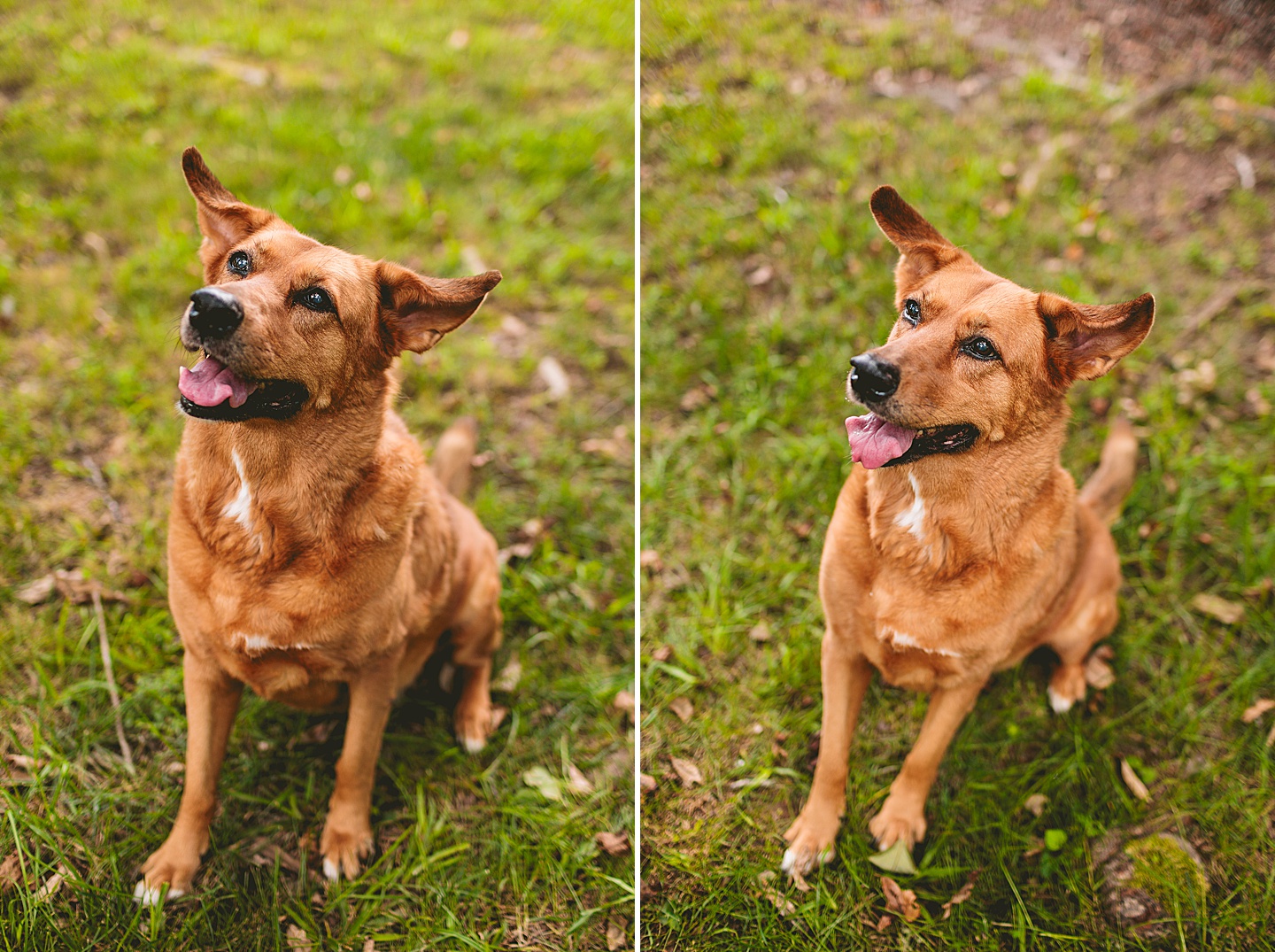 Family Photographer - Kelsie + Neal // Durham Family Photographer