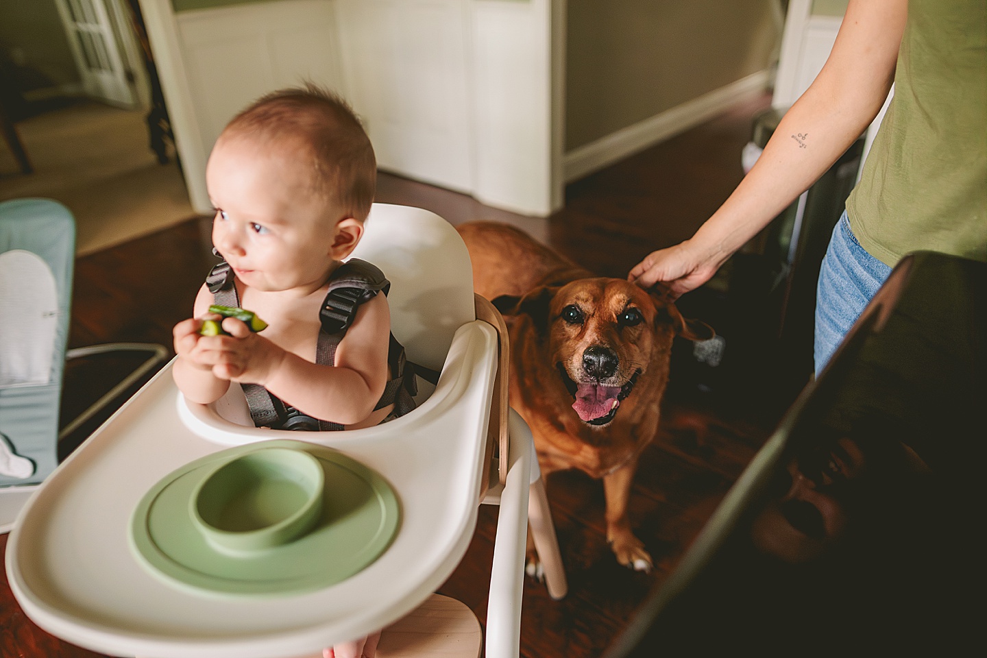 Family Photographer - Kelsie + Neal // Durham Family Photographer