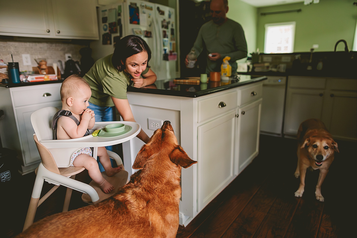 Family Photographer - Kelsie + Neal // Durham Family Photographer