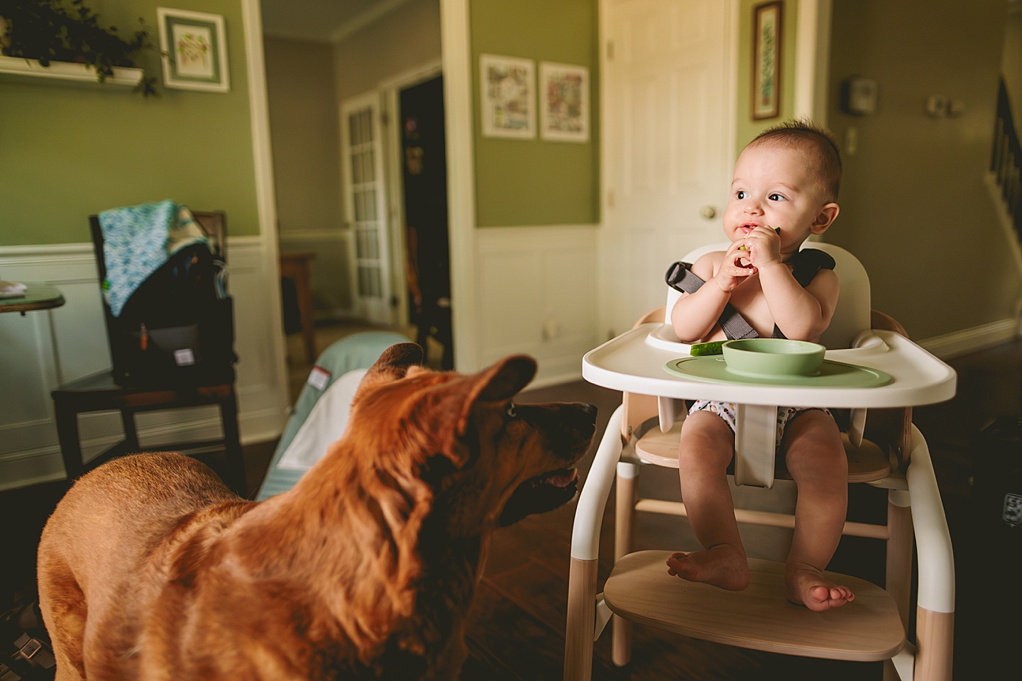 Family Photographer - Kelsie + Neal // Durham Family Photographer