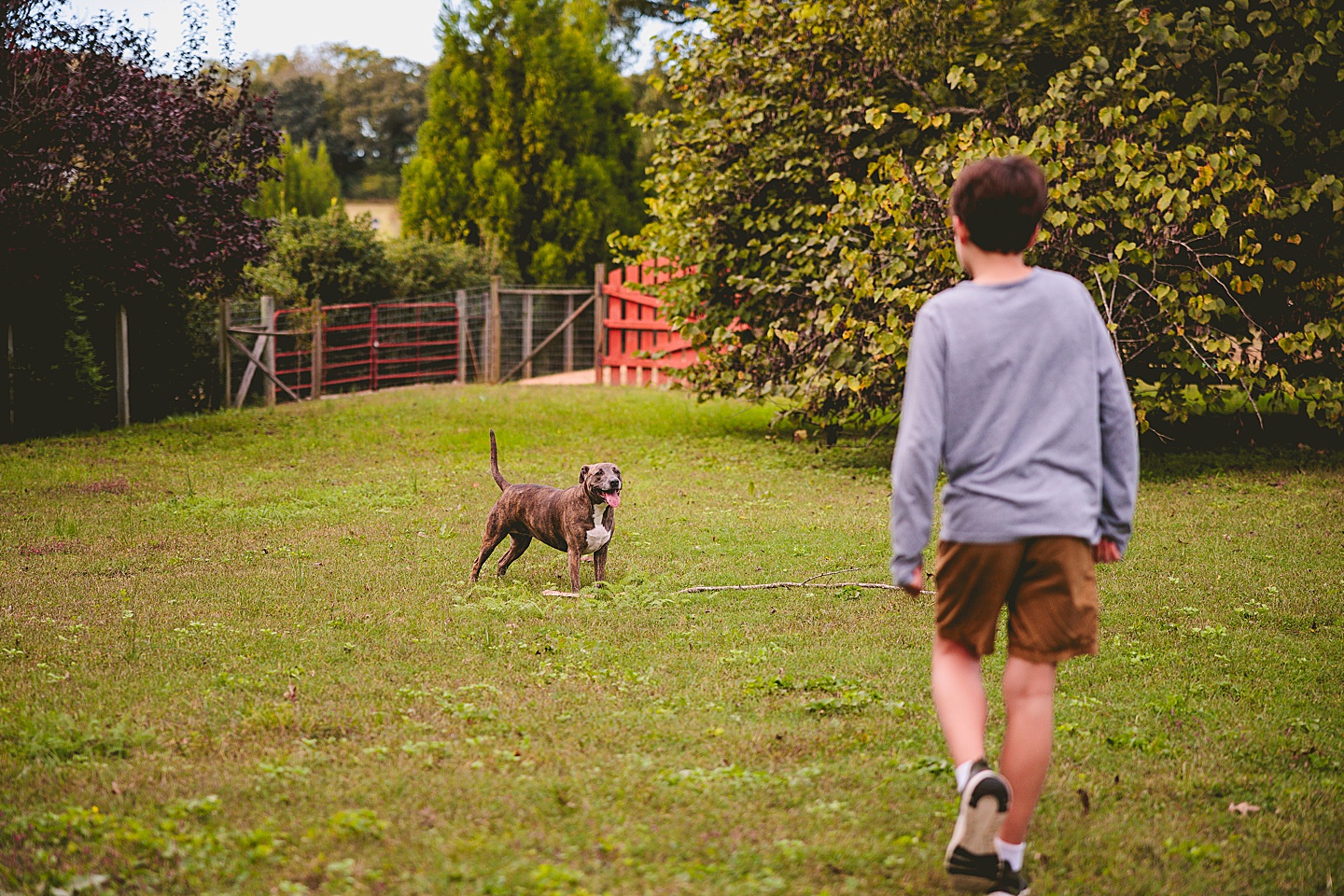 Family Photographer - Ashley + Jon // Pittsboro Family Photographer