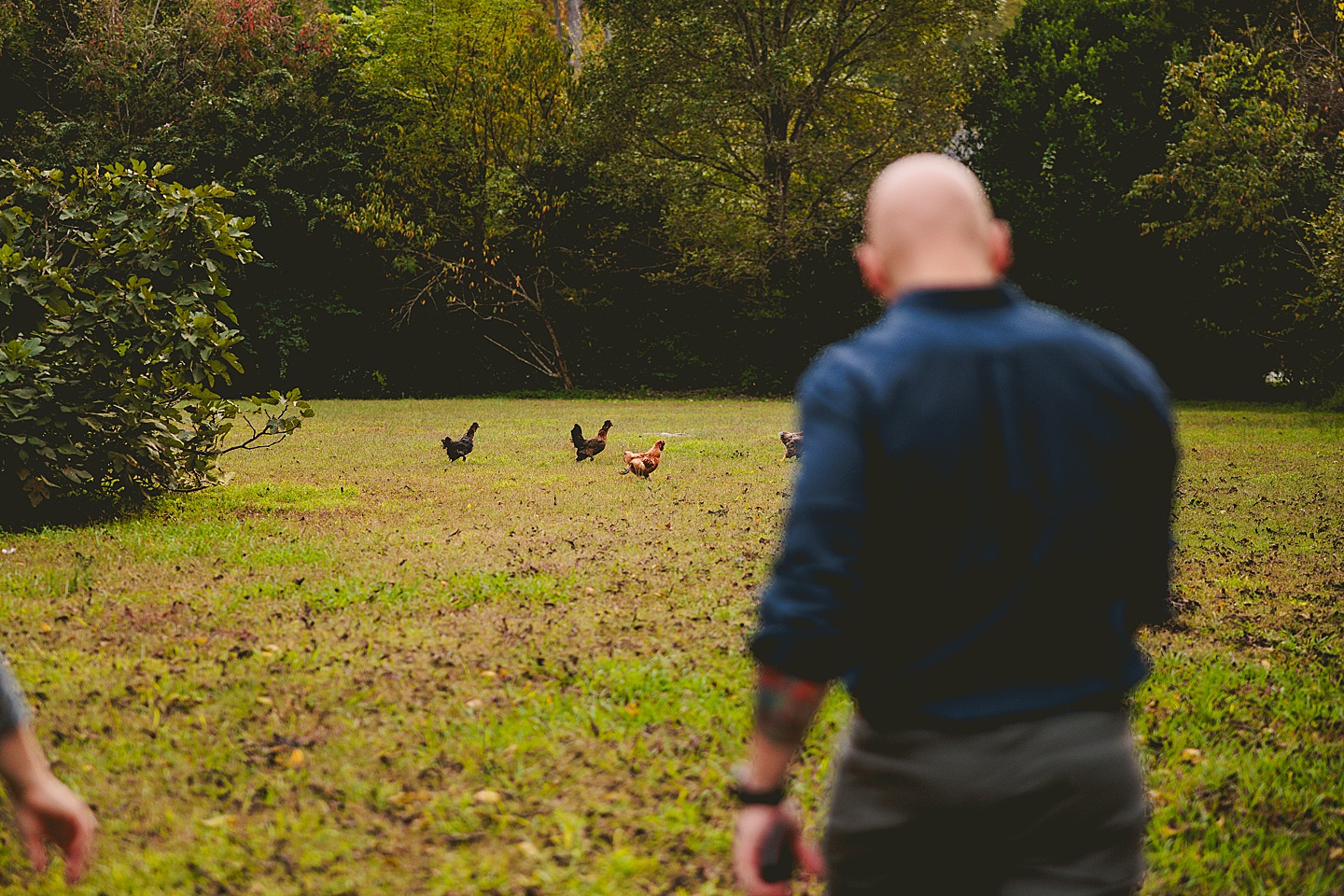 Family Photographer - Ashley + Jon // Pittsboro Family Photographer