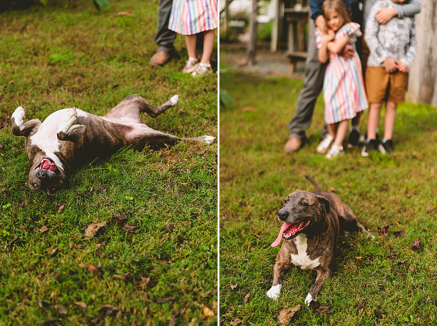 Family Photographer - Ashley + Jon // Pittsboro Family Photographer