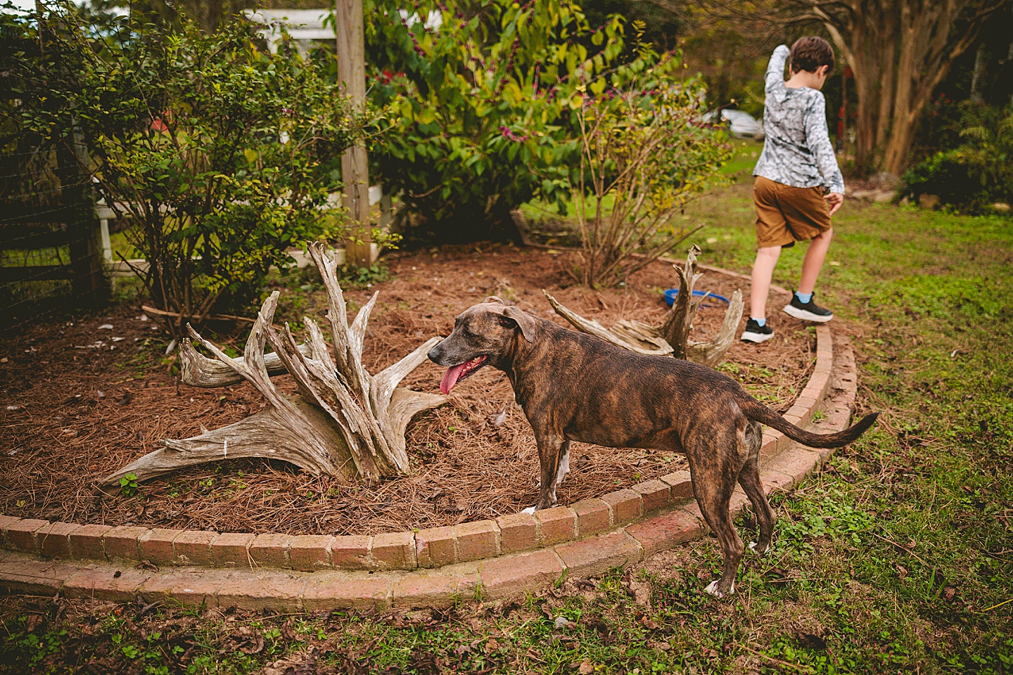 Family Photographer - Ashley + Jon // Pittsboro Family Photographer