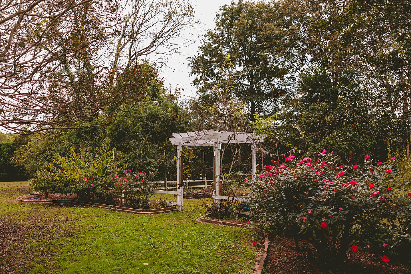 Family Photographer - Ashley + Jon // Pittsboro Family Photographer