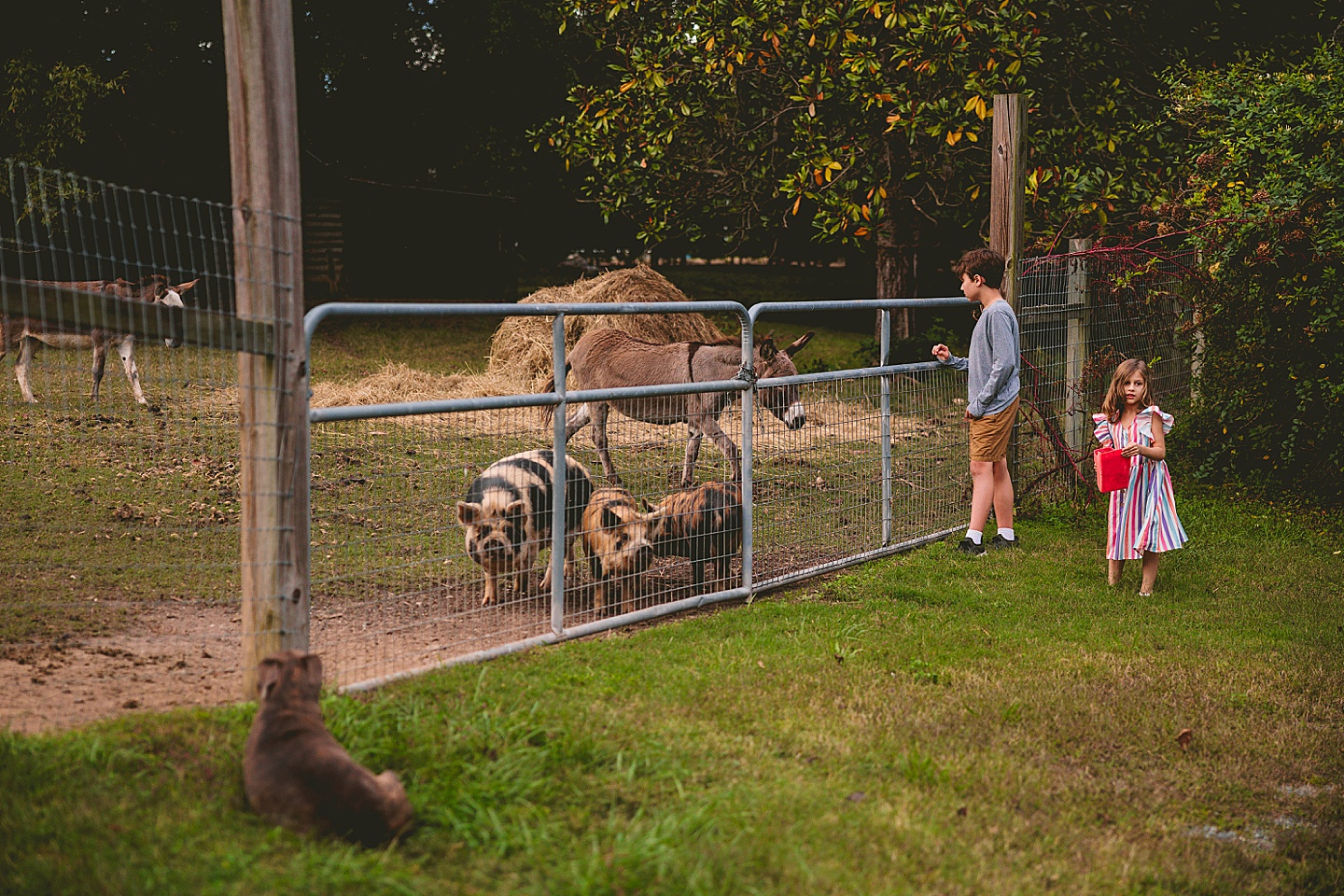 Family Photographer - Ashley + Jon // Pittsboro Family Photographer