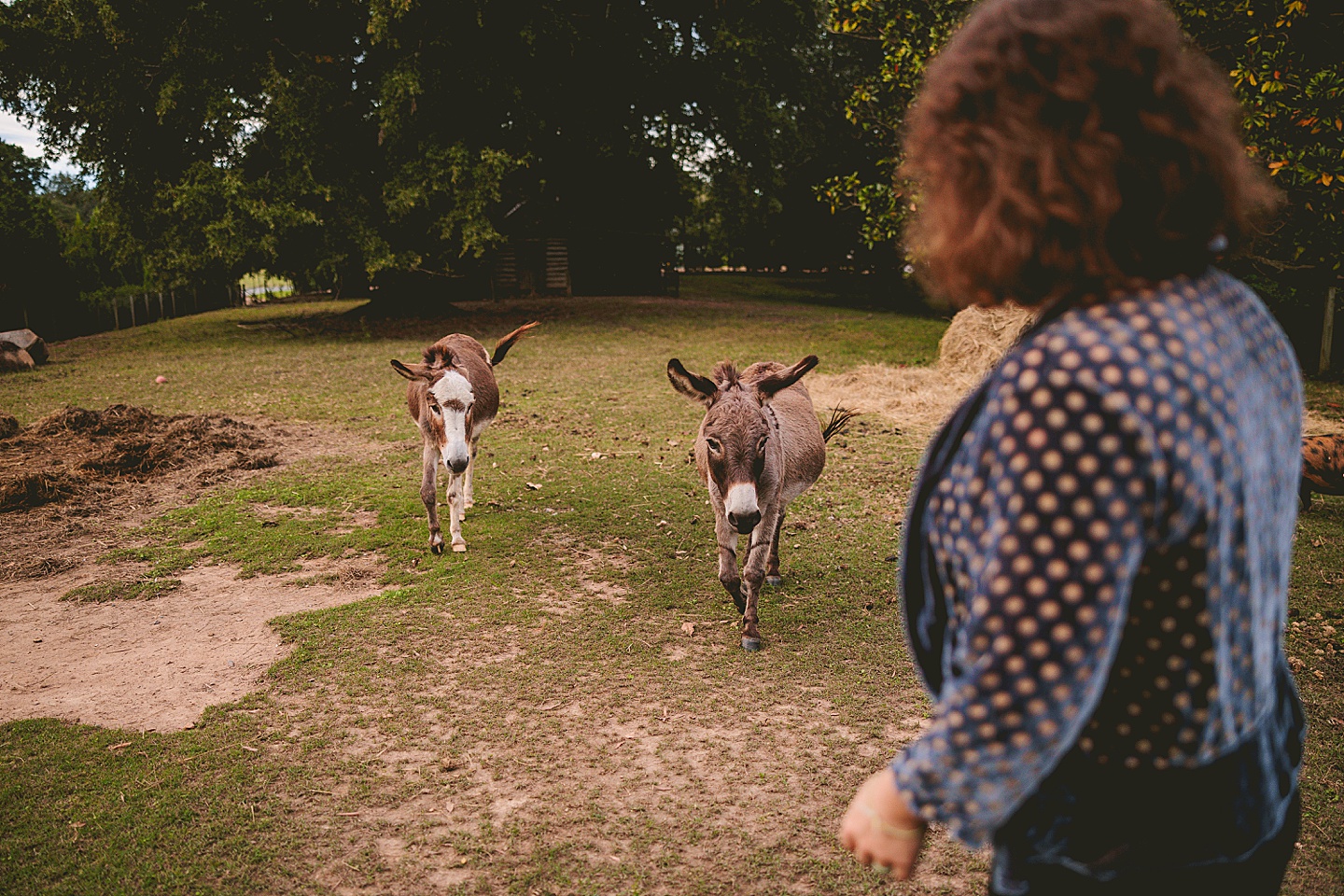 Family Photographer - Ashley + Jon // Pittsboro Family Photographer