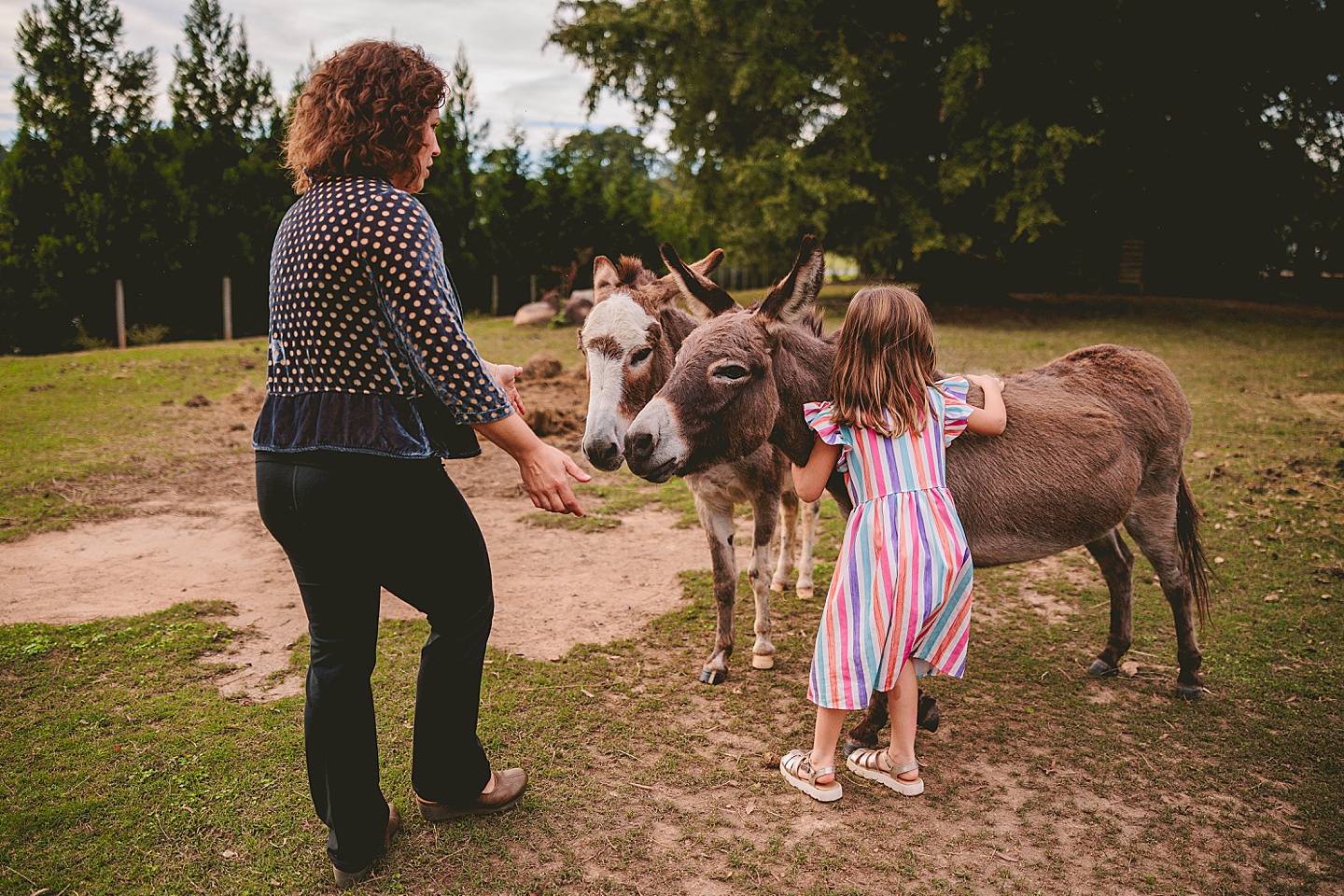 Family Photographer - Ashley + Jon // Pittsboro Family Photographer