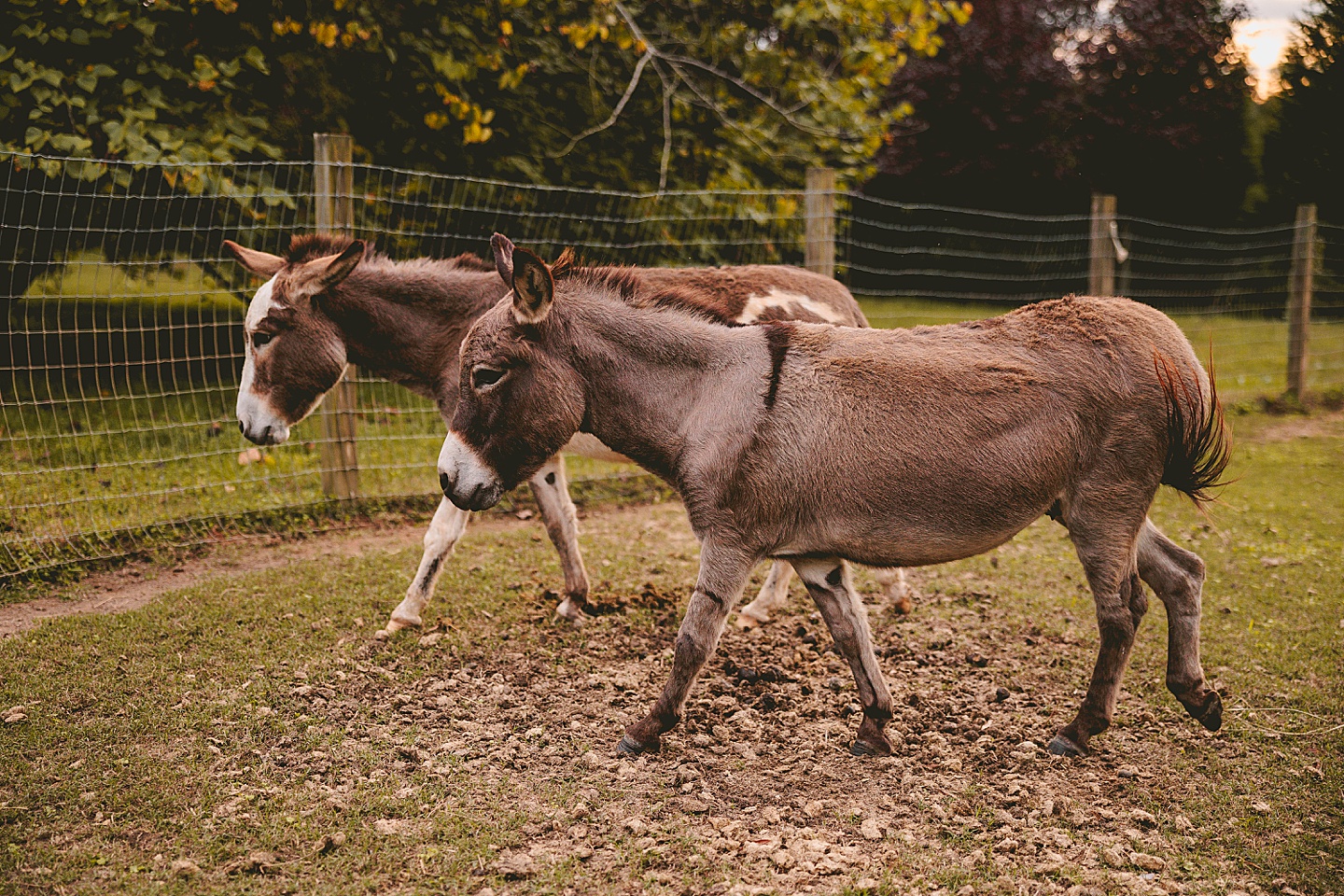 Family Photographer - Ashley + Jon // Pittsboro Family Photographer