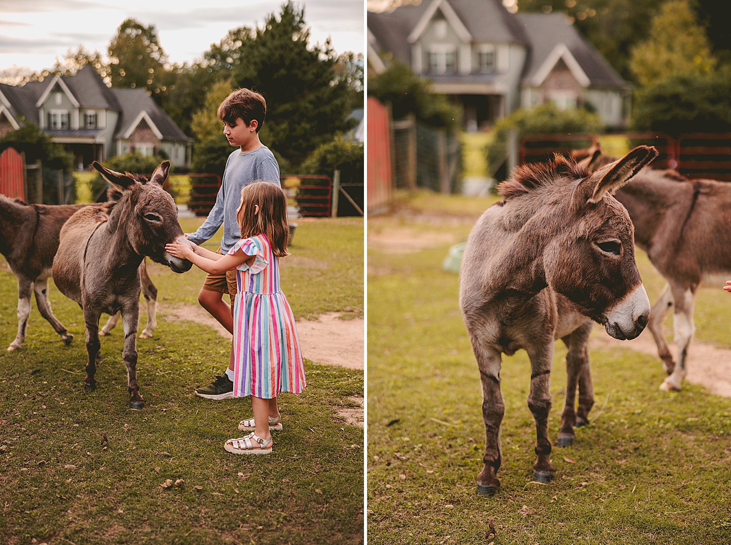 Family Photographer - Ashley + Jon // Pittsboro Family Photographer