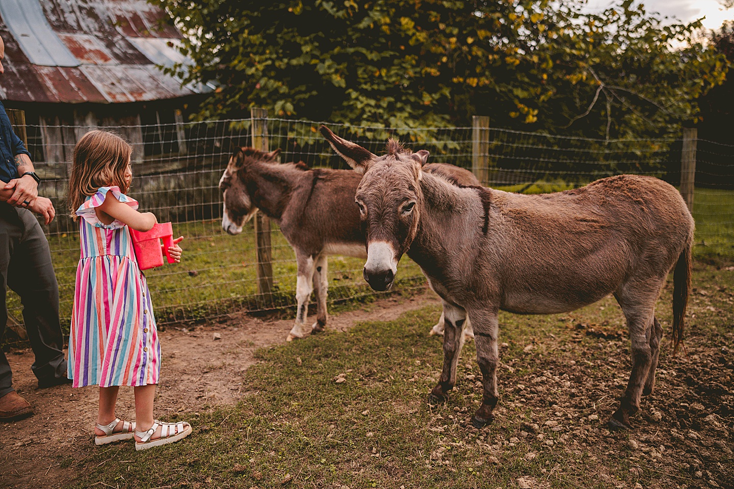 Family Photographer - Ashley + Jon // Pittsboro Family Photographer