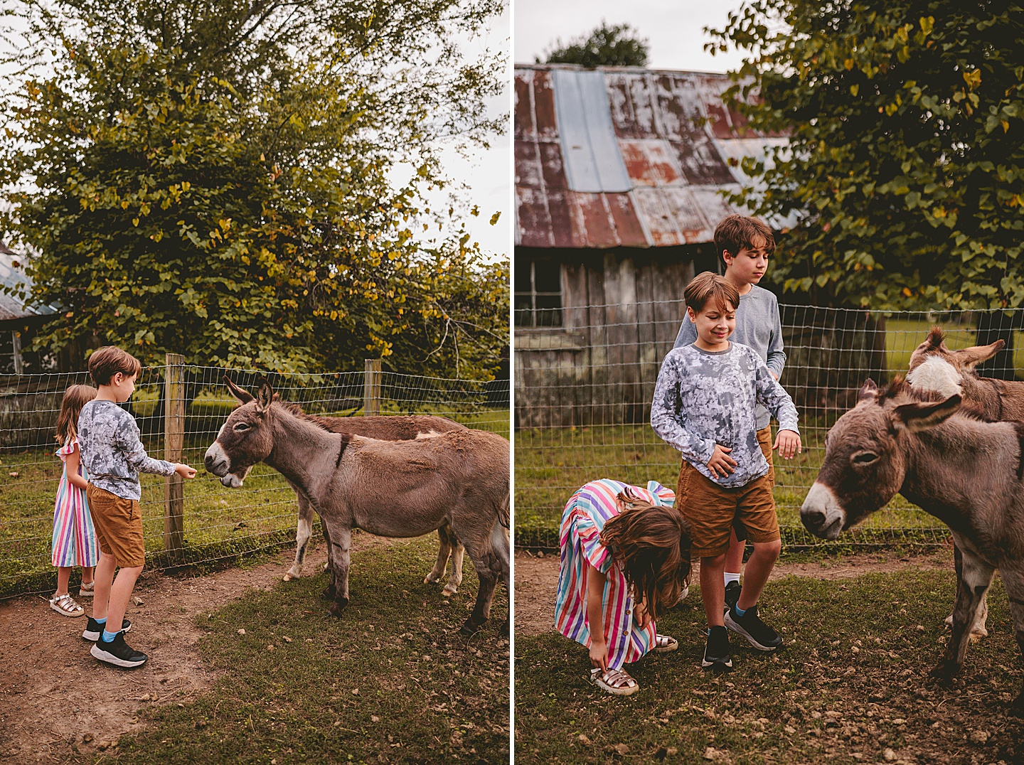 Family Photographer - Ashley + Jon // Pittsboro Family Photographer