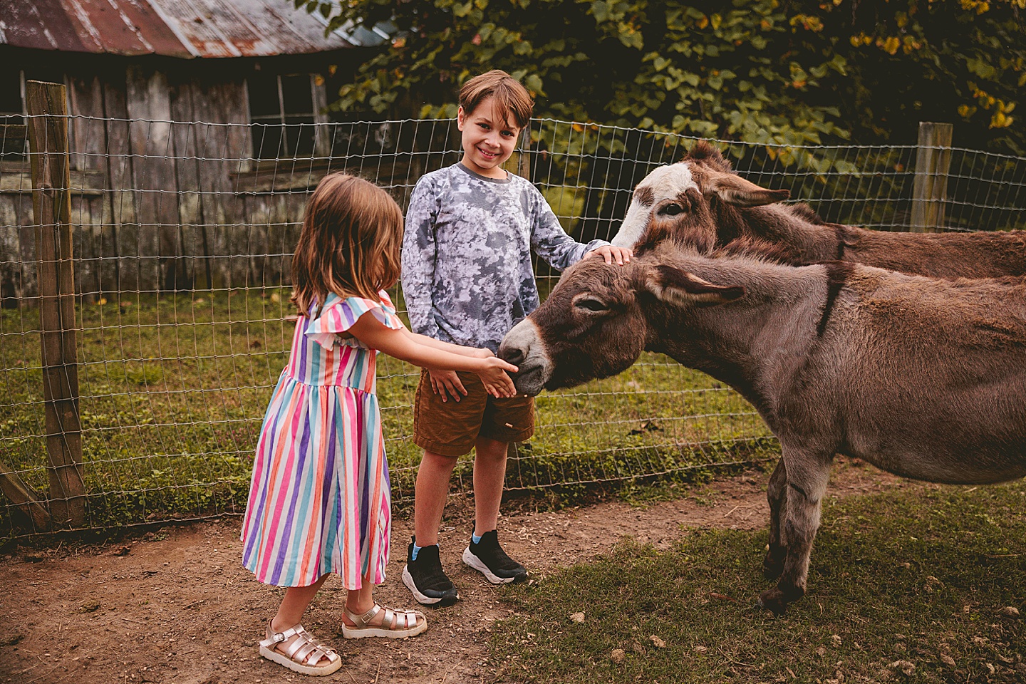 Family Photographer - Ashley + Jon // Pittsboro Family Photographer