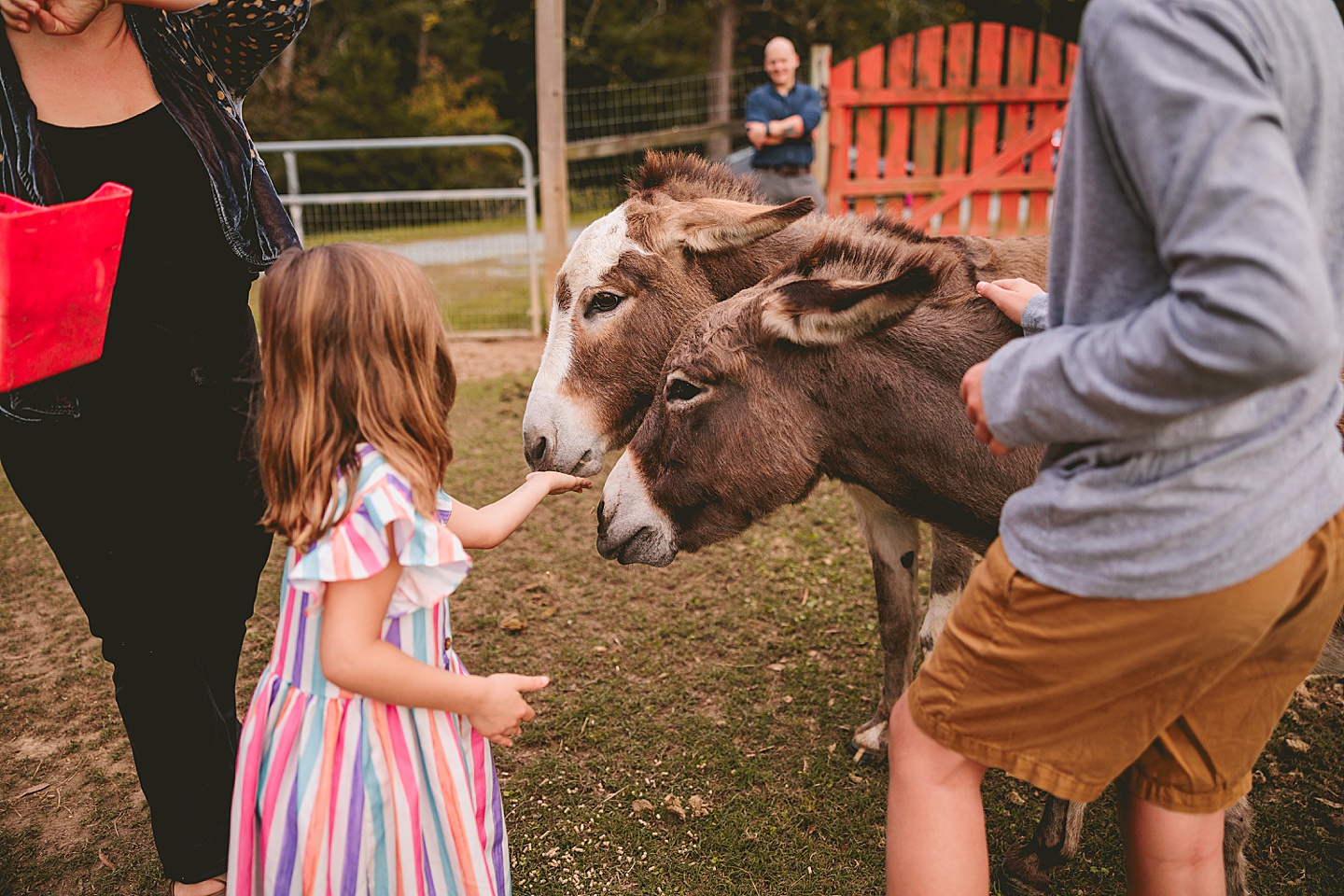 Family Photographer - Ashley + Jon // Pittsboro Family Photographer