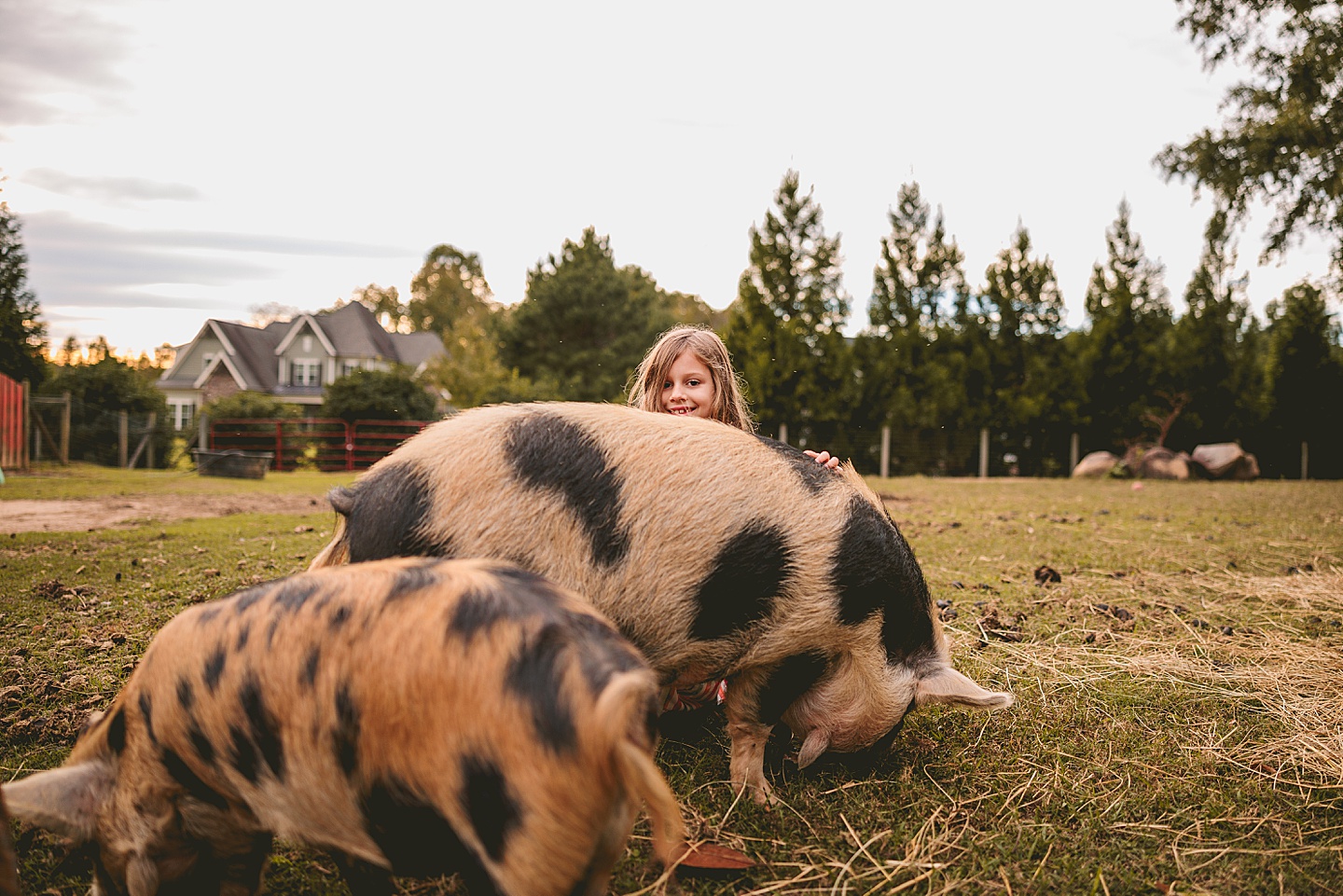 Family Photographer - Ashley + Jon // Pittsboro Family Photographer