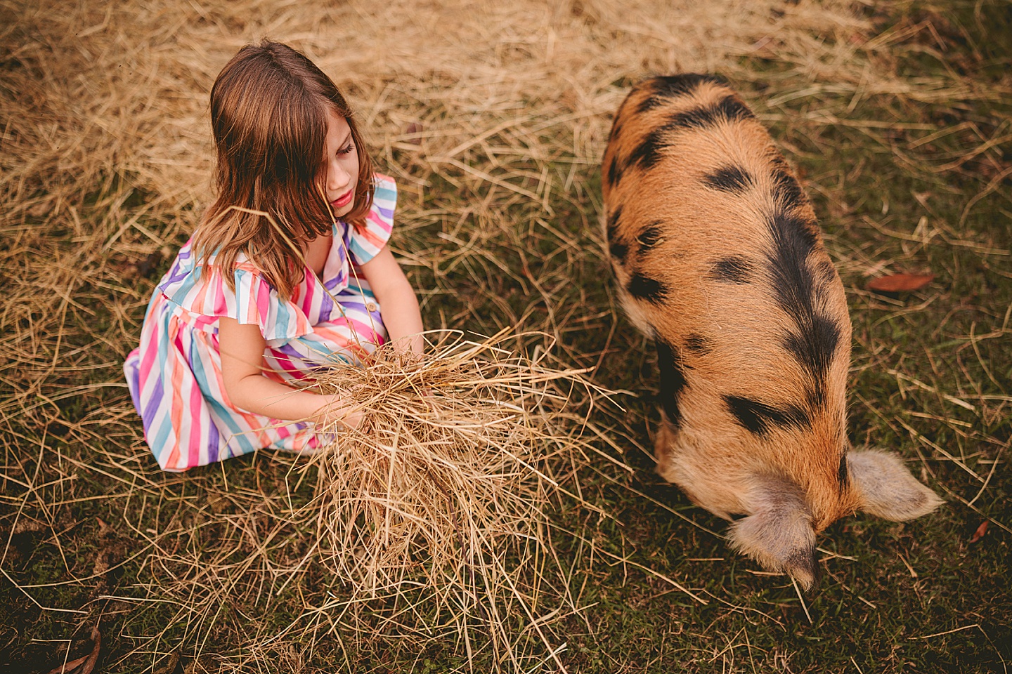 Family Photographer - Ashley + Jon // Pittsboro Family Photographer