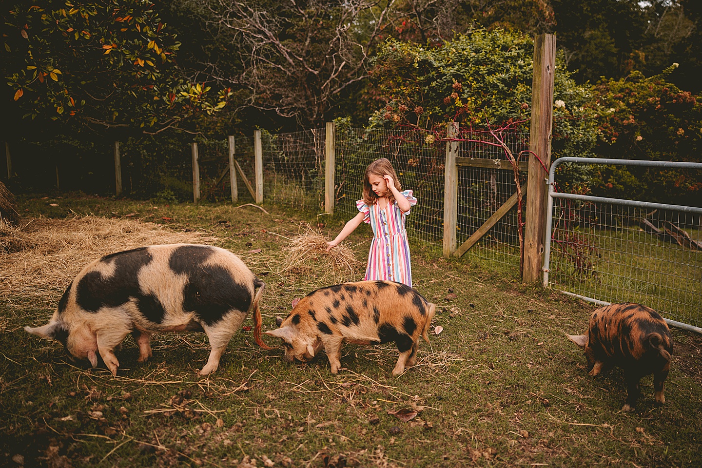 Family Photographer - Ashley + Jon // Pittsboro Family Photographer