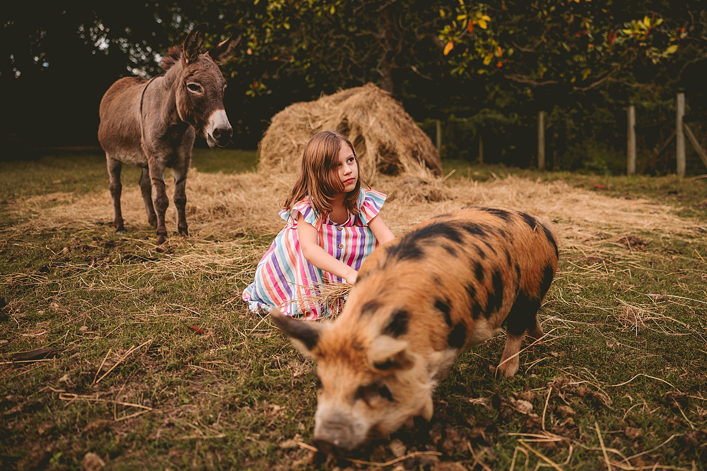 Family Photographer - Ashley + Jon // Pittsboro Family Photographer