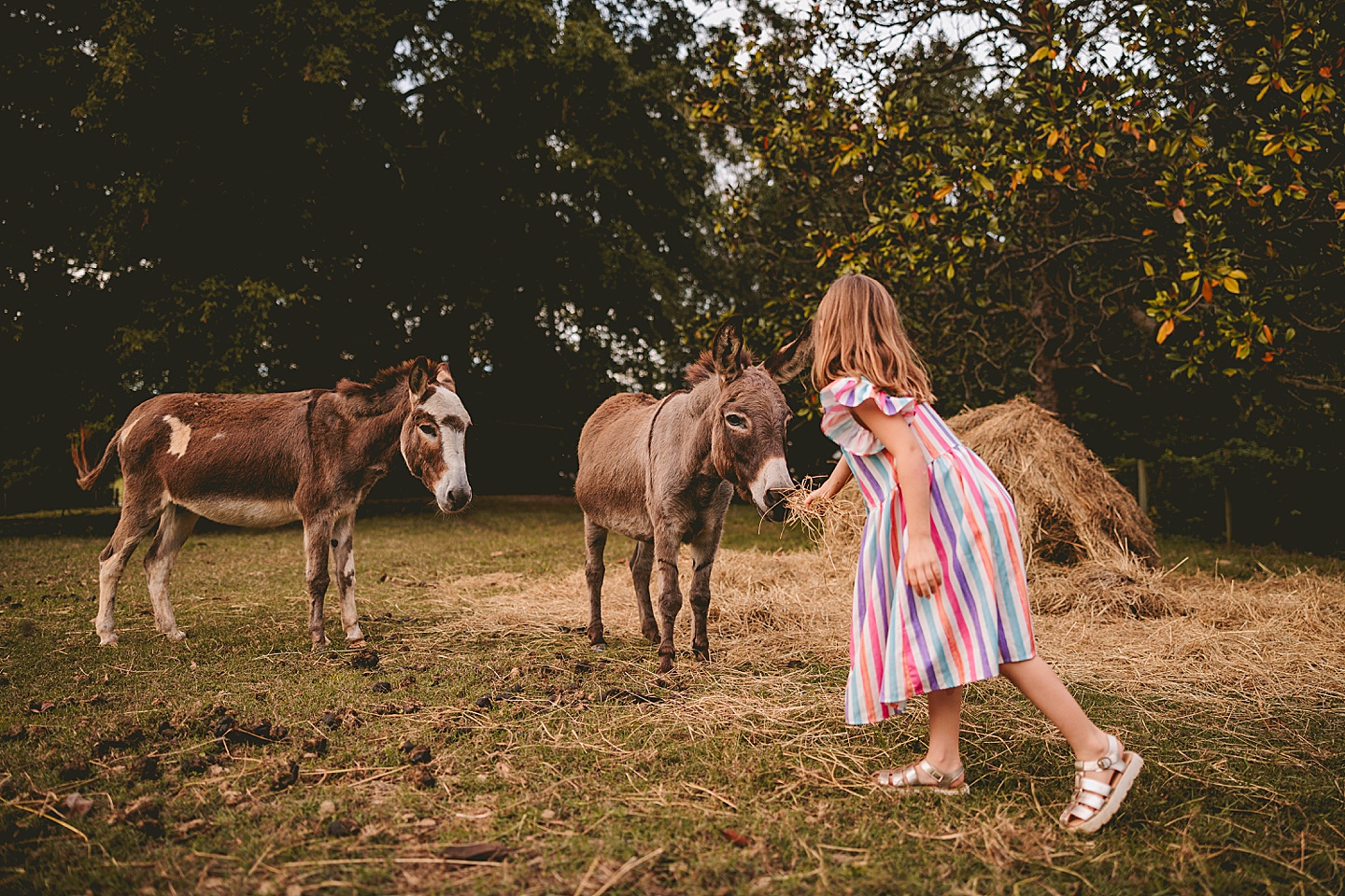 Family Photographer - Ashley + Jon // Pittsboro Family Photographer