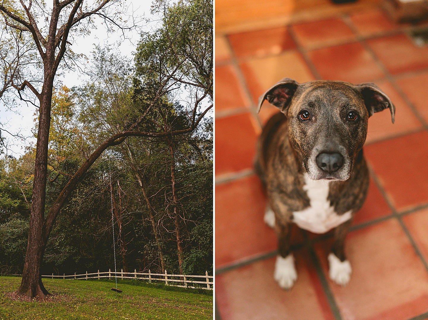 Family Photographer - Ashley + Jon // Pittsboro Family Photographer