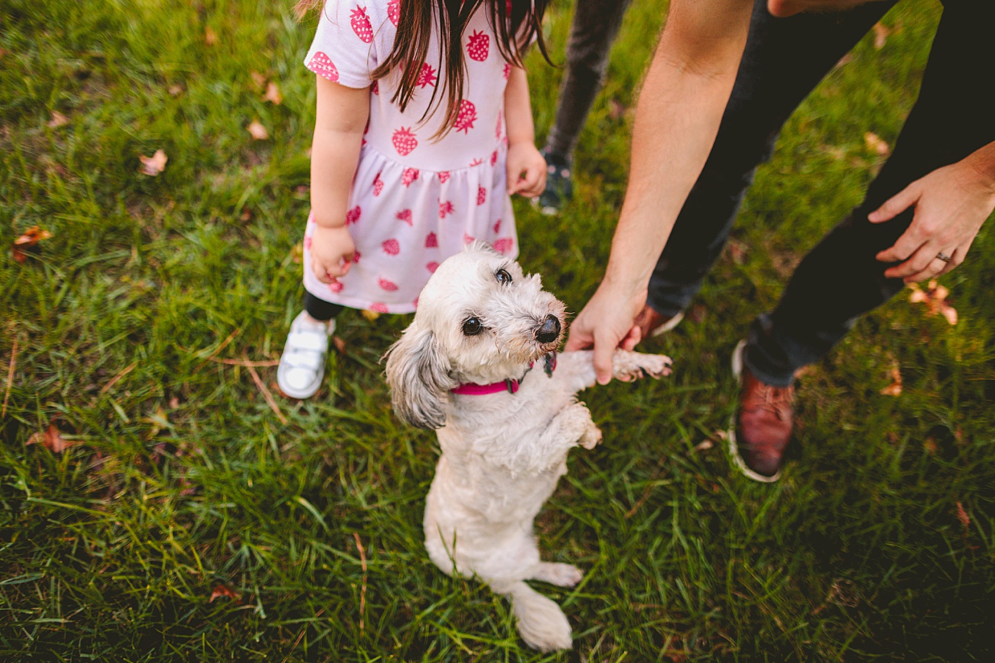 Family Photographer - Annie + James // Raleigh Family Photographer