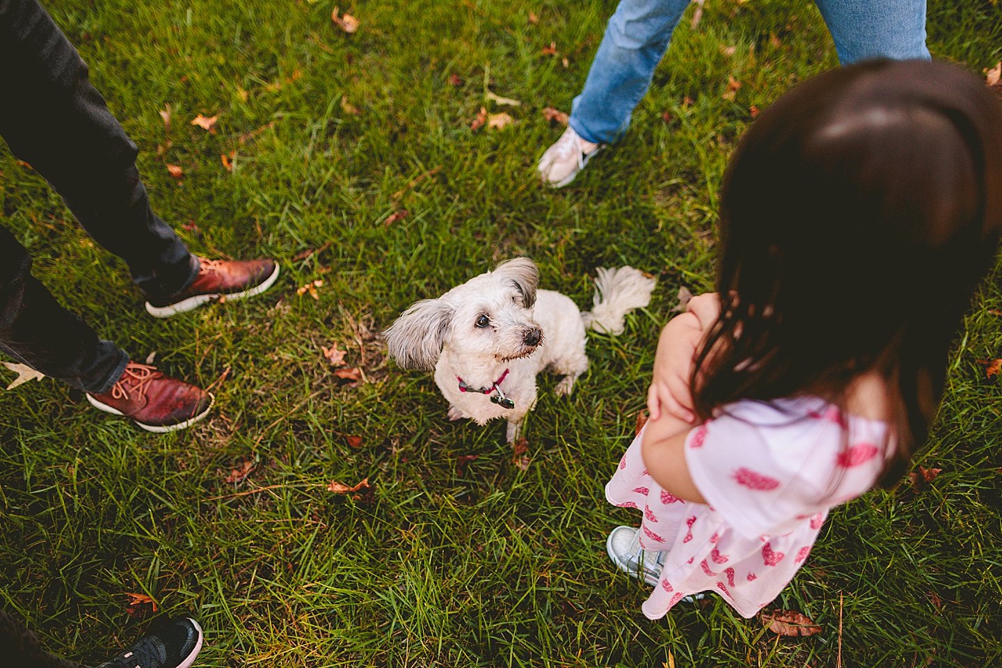 Family Photographer - Annie + James // Raleigh Family Photographer