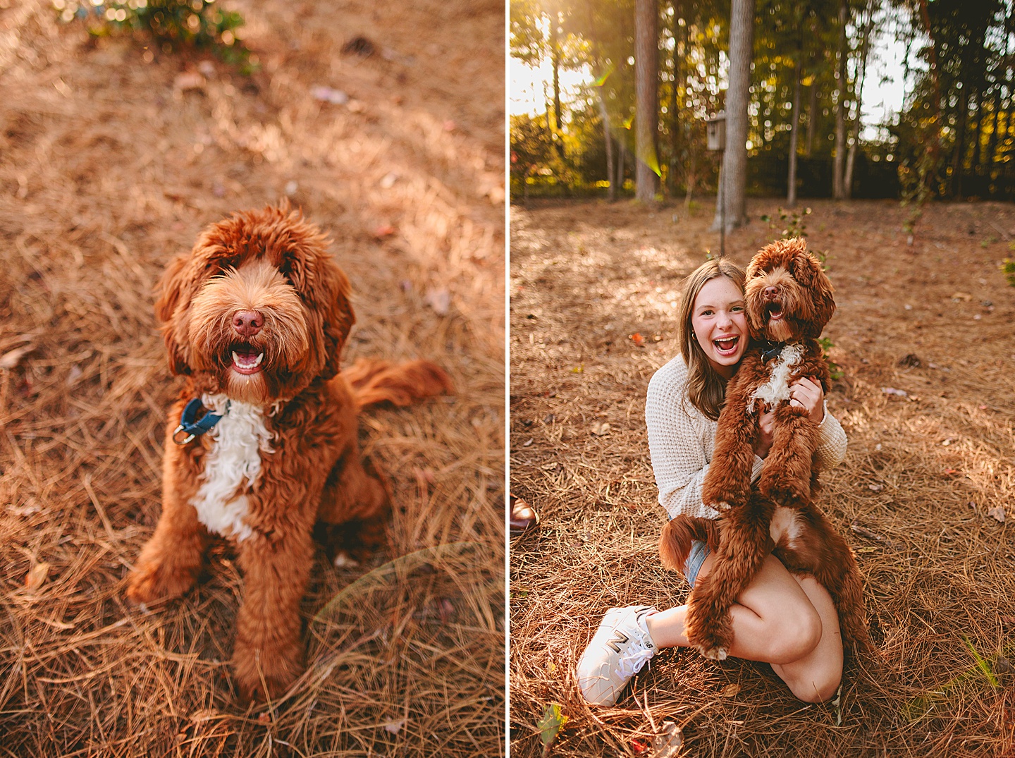 Family Photographer - Lee + Nancy // Raleigh Extended Family Photo Session