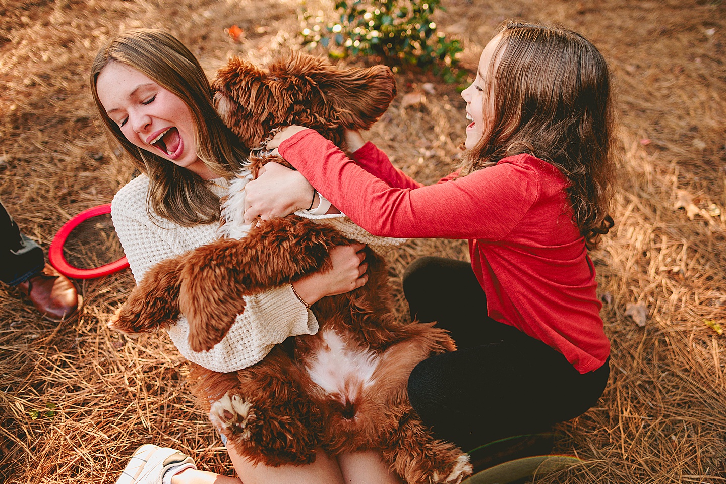 Family Photographer - Lee + Nancy // Raleigh Extended Family Photo Session