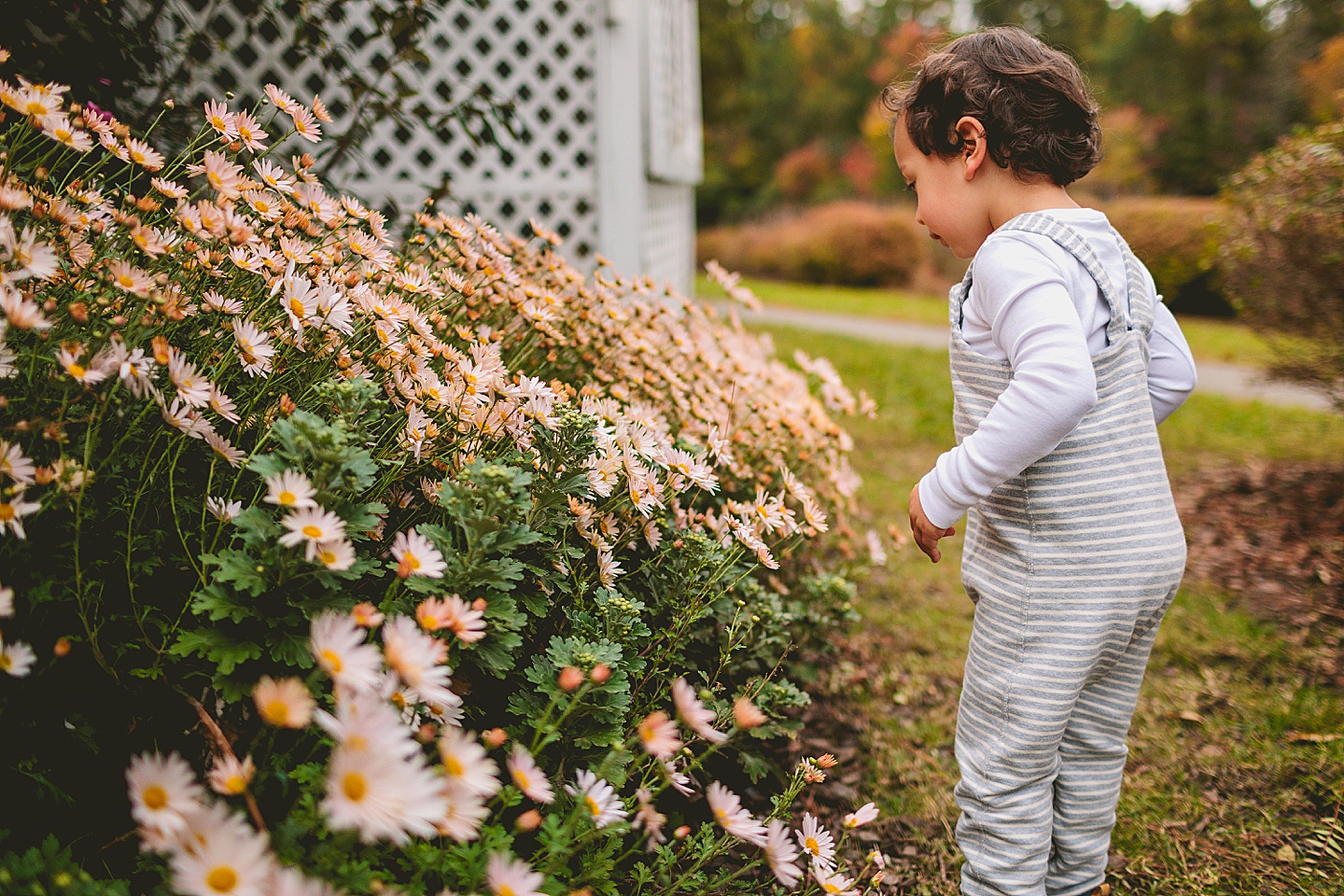 Family Photographer - Krishna + Dan // Durham Family Photographer