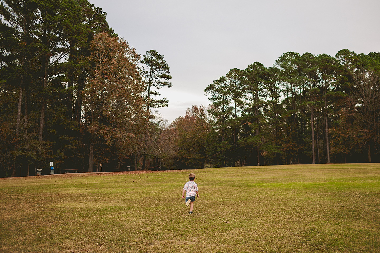 Family Photographer - Hannah + David // Raleigh Family Photography