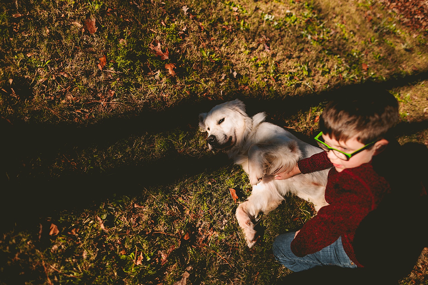 Family Photographer - Robert + Julie // Holly Springs Photographer