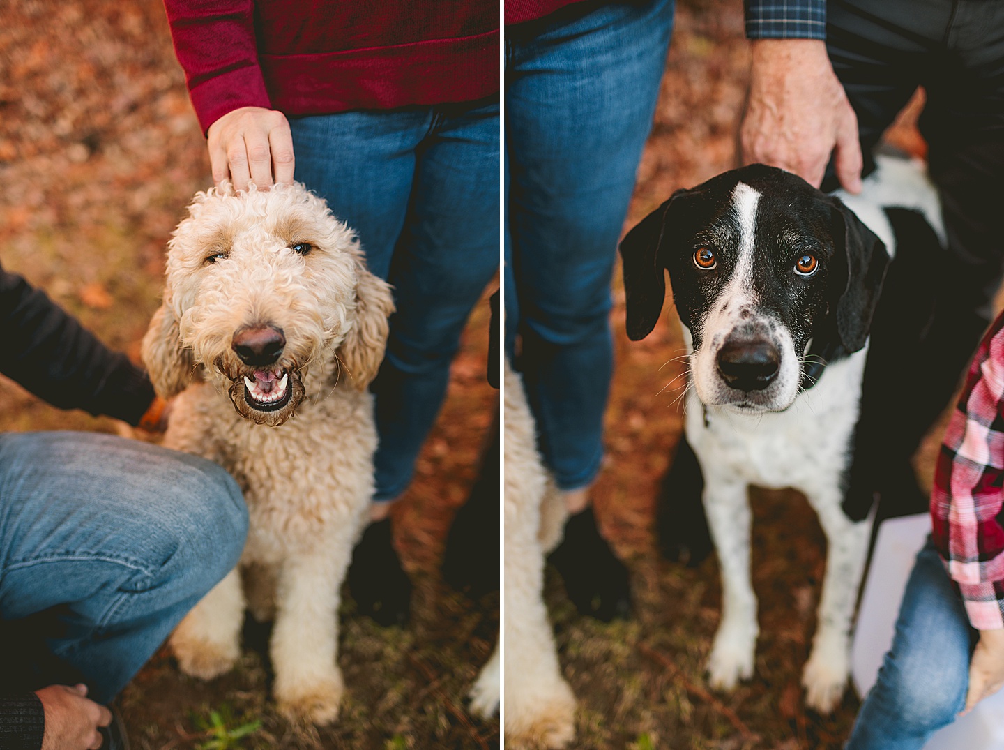 Family Photographer - Robert + Julie // Holly Springs Photographer