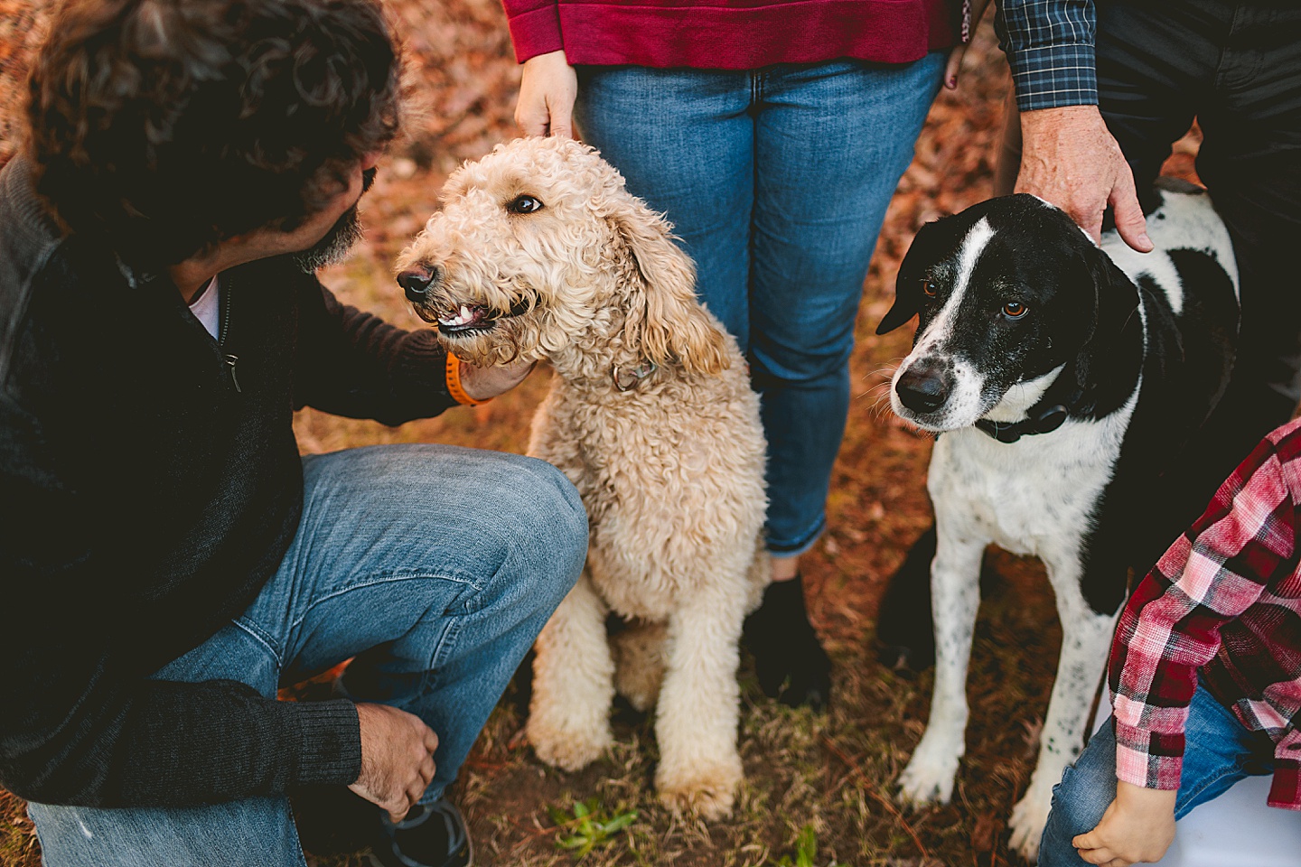 Family Photographer - Robert + Julie // Holly Springs Photographer