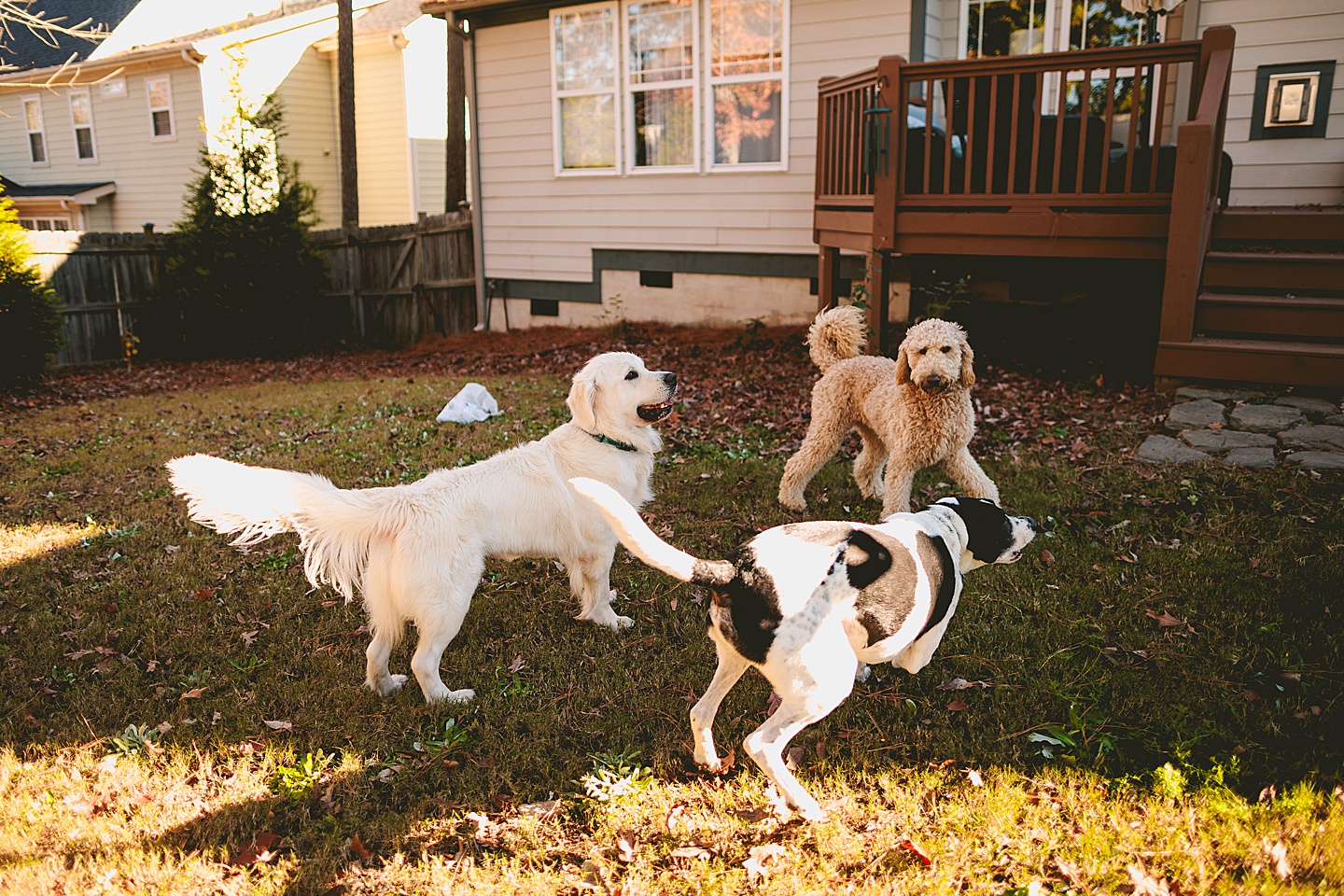 Family Photographer - Robert + Julie // Holly Springs Photographer