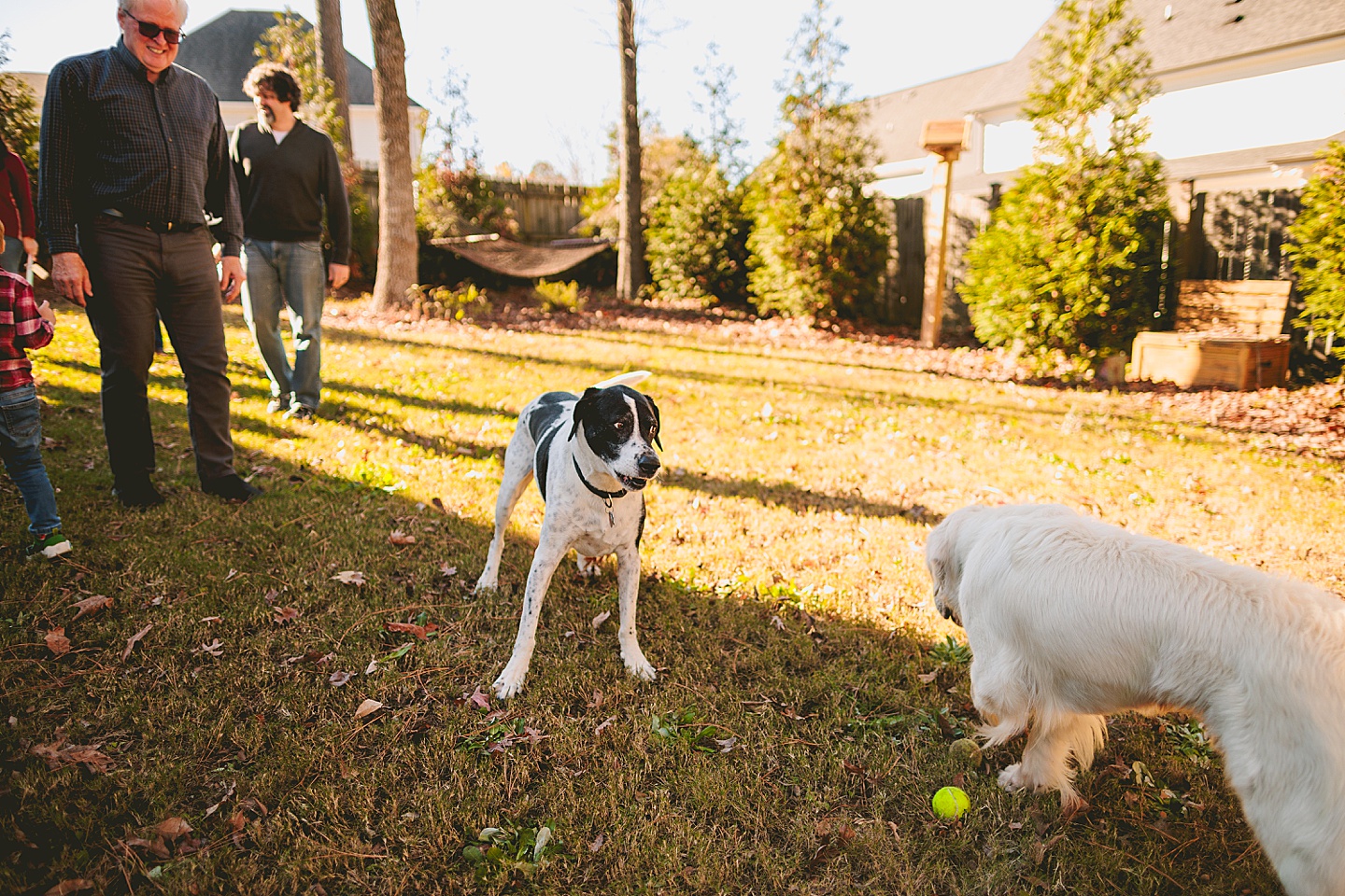 Family Photographer - Robert + Julie // Holly Springs Photographer