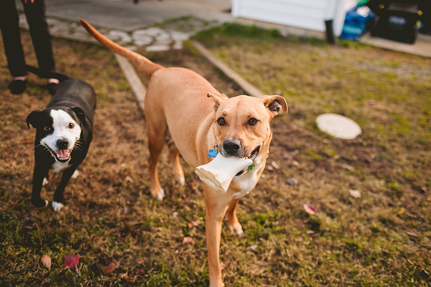 Couples - Casey + Cole // Durham Couple Portraits