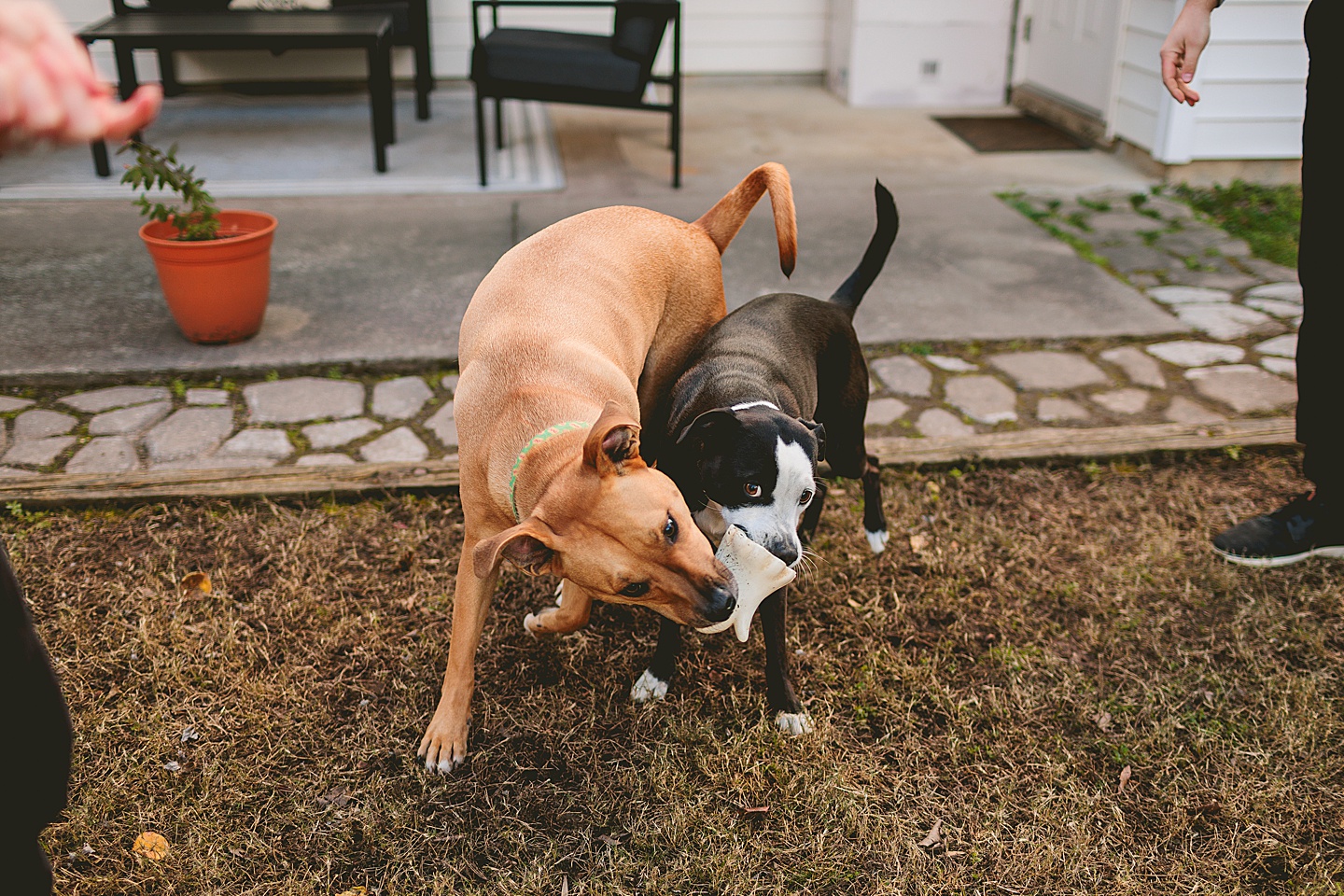 Couples - Casey + Cole // Durham Couple Portraits