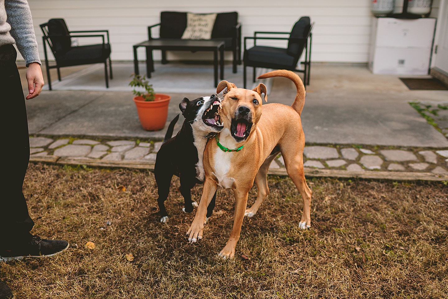 Couples - Casey + Cole // Durham Couple Portraits