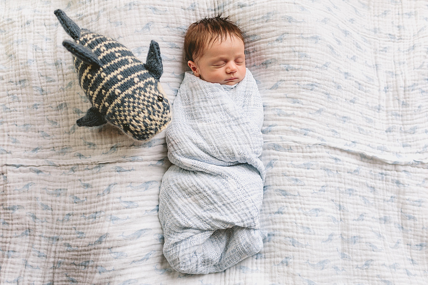 Family Photographer - Katie + Lee // Durham Newborn Photographer